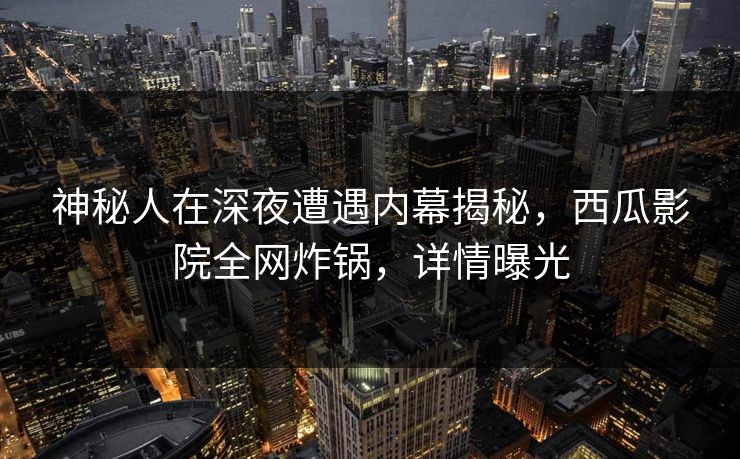 神秘人在深夜遭遇内幕揭秘，西瓜影院全网炸锅，详情曝光