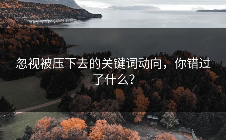 忽视被压下去的关键词动向，你错过了什么？